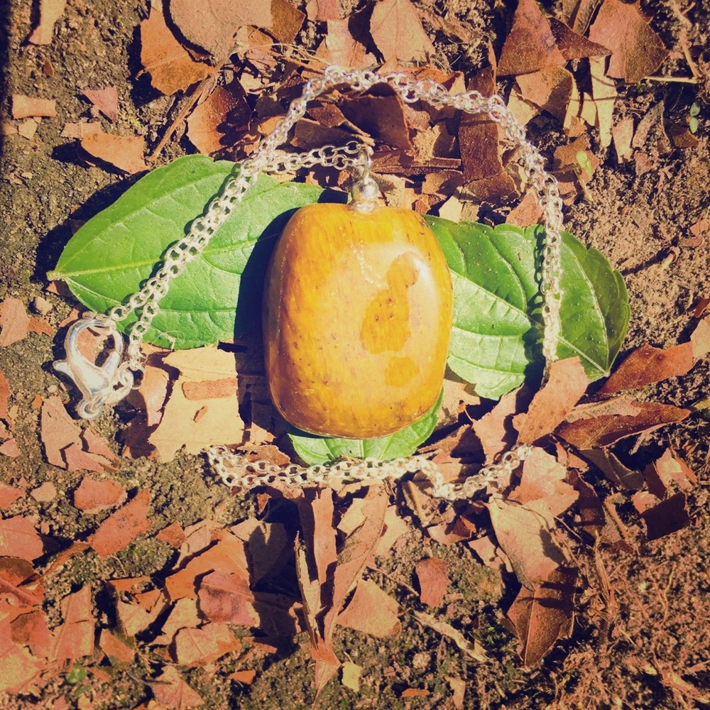 Tigers Eye Necklace.